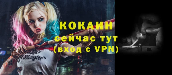 ешки Аркадак