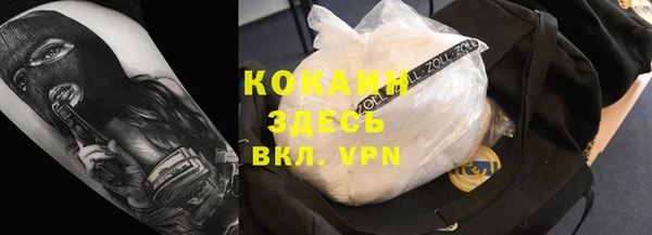 ешки Аркадак