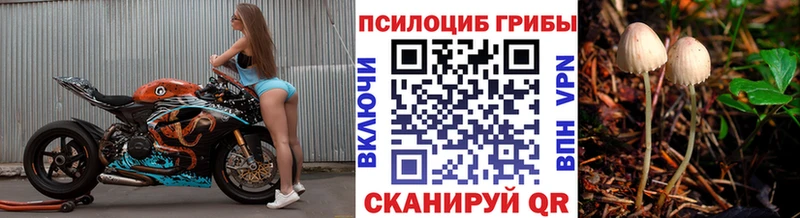 Галлюциногенные грибы прущие грибы купить даркнет наркотические препараты Сосенский